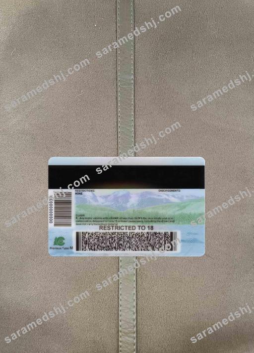USA Colorado ID card under 21 photolook BACK